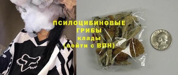гашик Магас