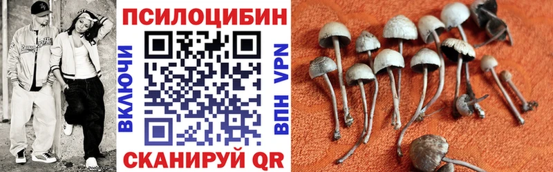 Галлюциногенные грибы Magic Shrooms  наркота  Адыгейск 