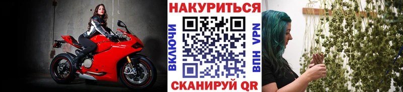 Шишки марихуана MAZAR  ОМГ ОМГ как зайти  Адыгейск  где купить  